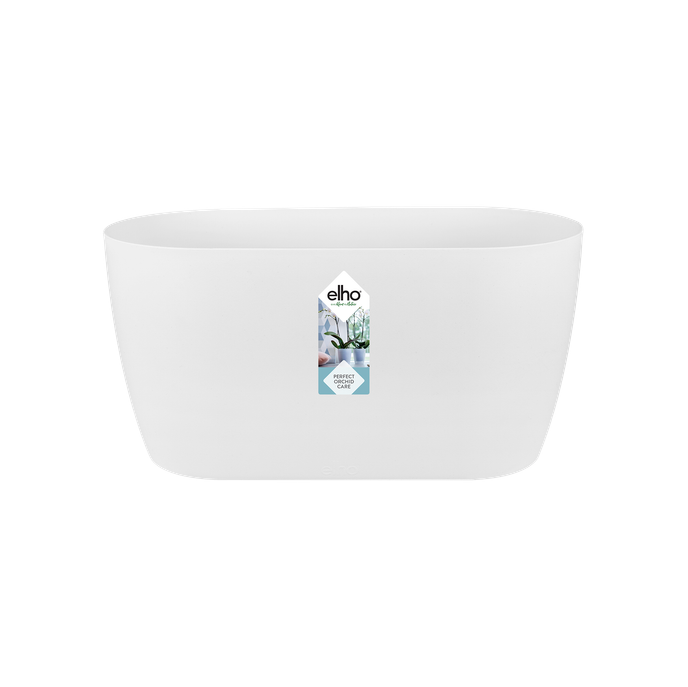 brussels orchidee duo 25cm wit